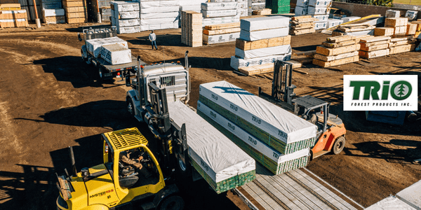 Forklifts moving lumber at Trio Forest Products