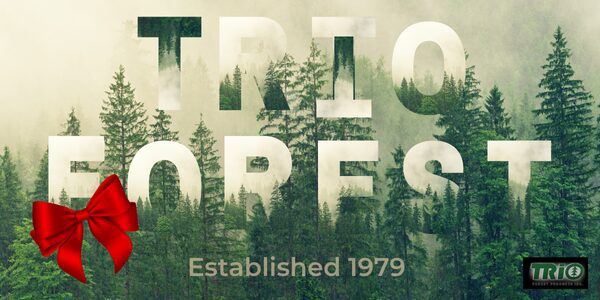 Forest-themed text with red bow