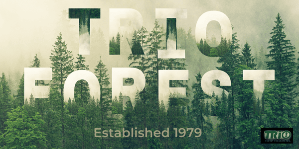 Trio Forest logo and trees