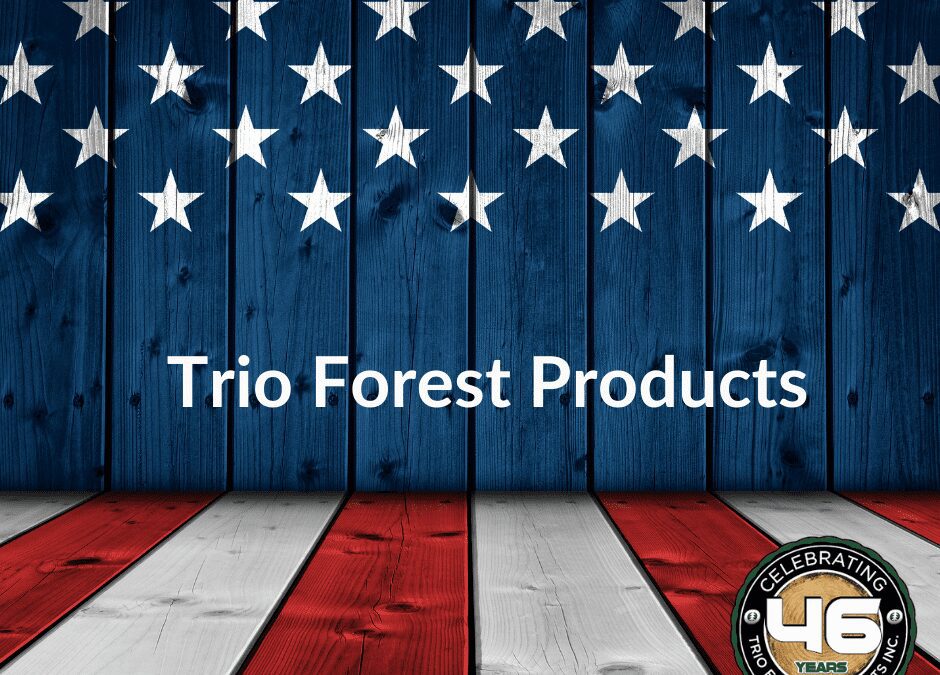 Patriotic wood background with stars