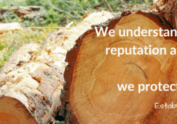 Trio logo with cut tree logs background