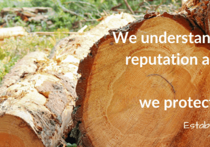 Trio logo with cut tree logs background