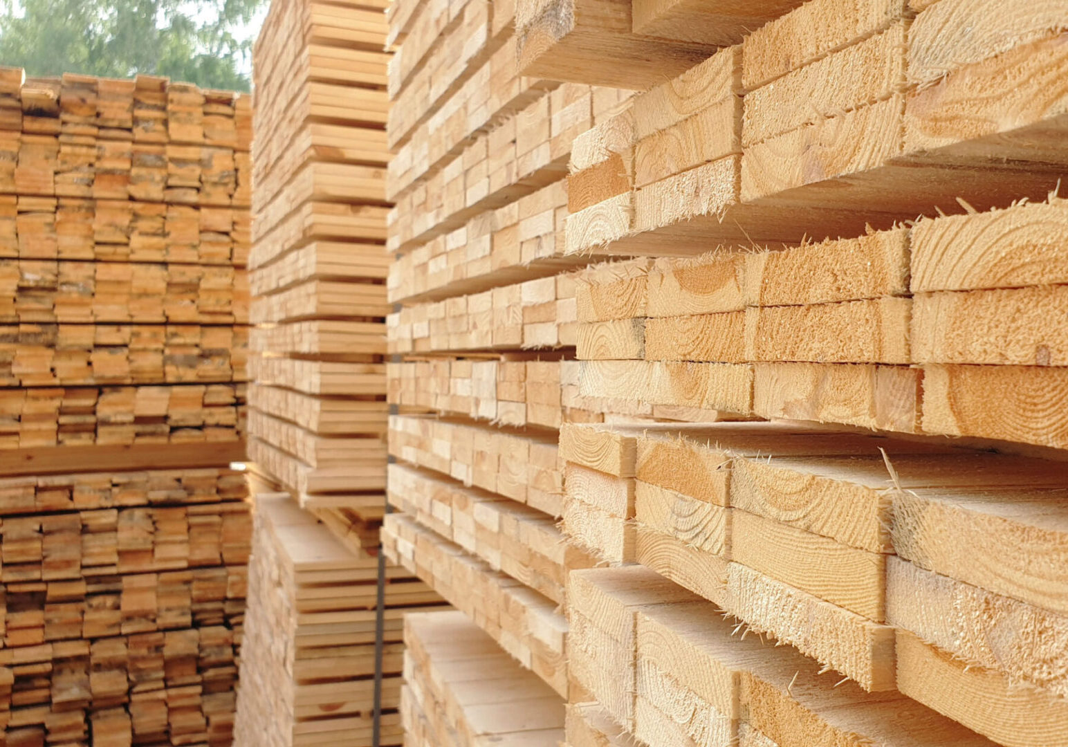 Piles of cut timber ready for use.