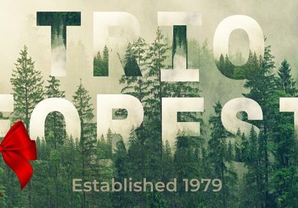 Forest-themed text with red bow