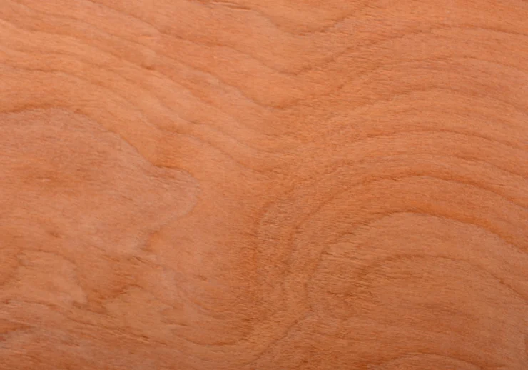 Natural wood surface pattern